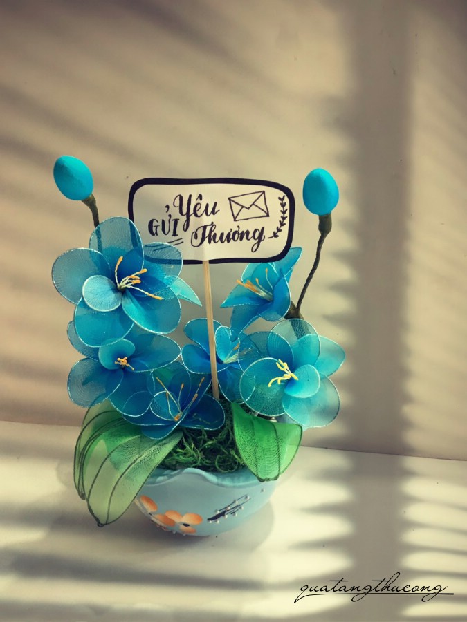 Chậu hoa voan mẫu 2